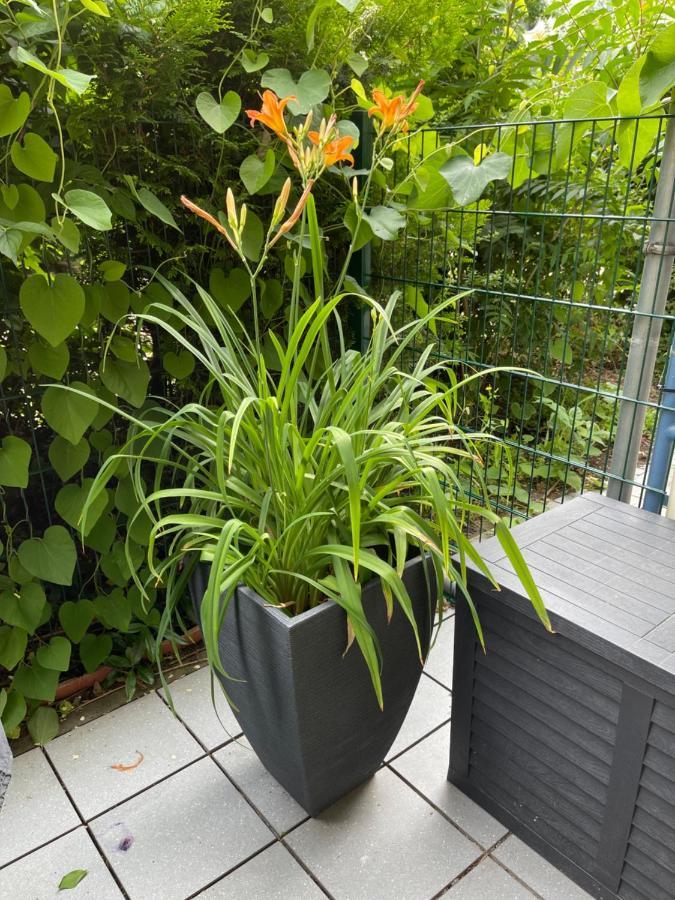 Sonnige Wohnung Im Zentrum Mit Terrasse U Tiefgarage - Netflix & Prime Leipzig Dış mekan fotoğraf